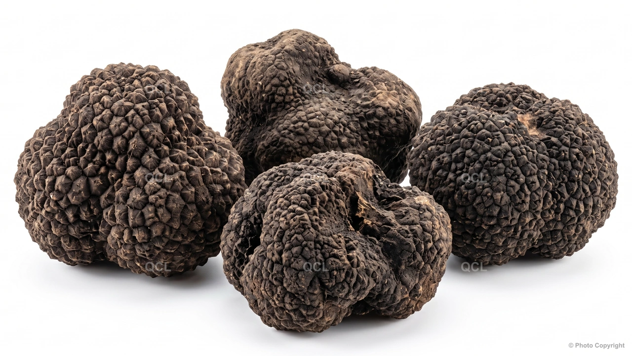 Tartufo Nero Estivo o Scorzone